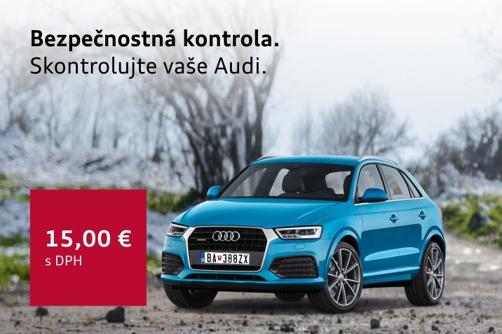 Audi Kontrola