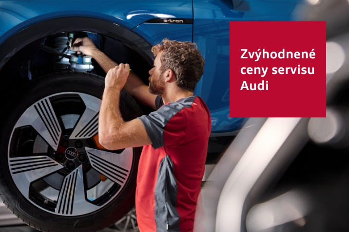 Audi servis